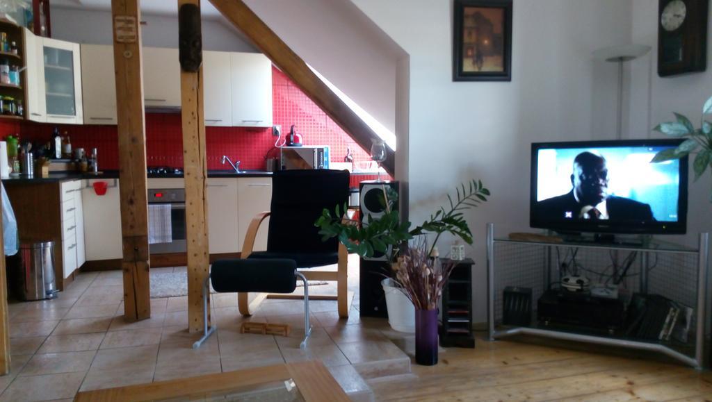 Apartman Pod Svatou Horou Příbram 外观 照片