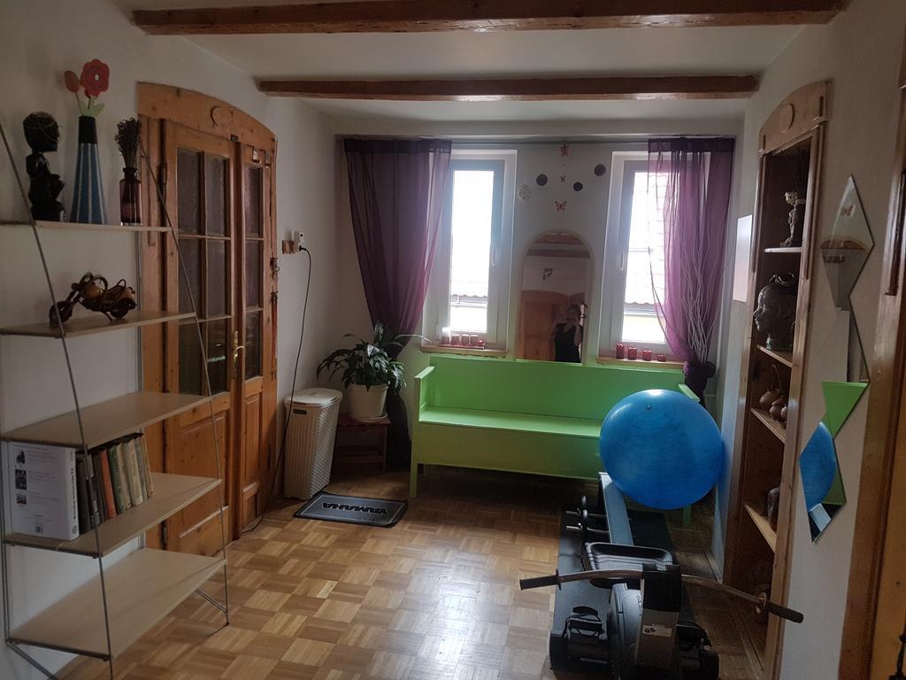 Apartman Pod Svatou Horou Příbram 外观 照片